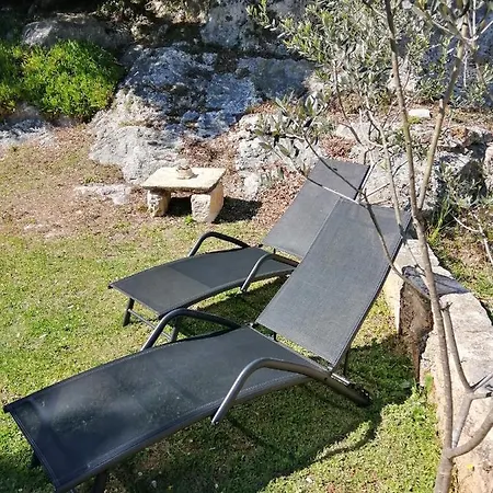 Garden *