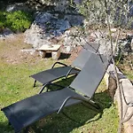 Garden *